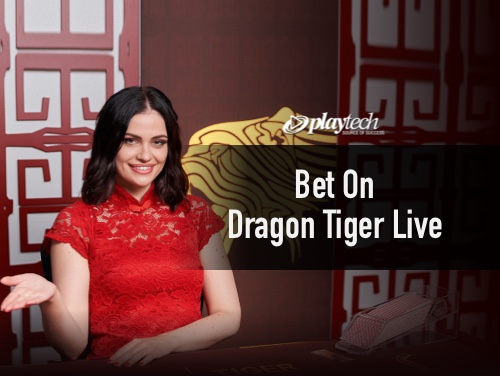 seoobet365 fortune tiger